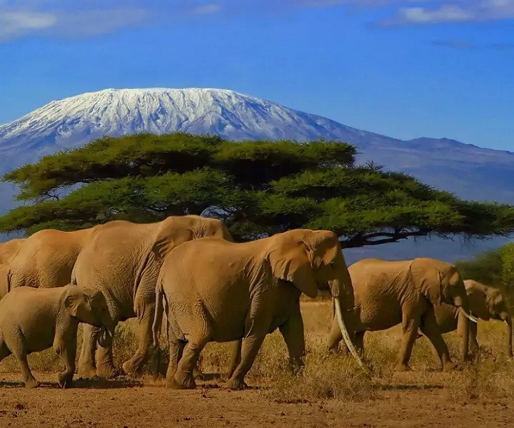 Praktisk informasjon om Kilimanjaro