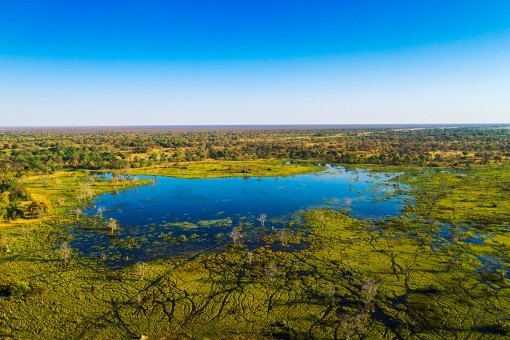 Utsikt over Okavango-deltaet